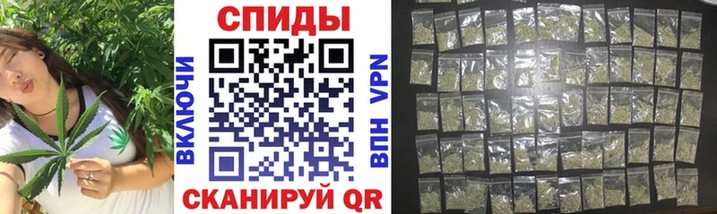 Бутират буратино Кущёвская