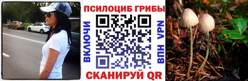 Псилоцибиновые грибы мухоморы  Купить  Кущёвская 